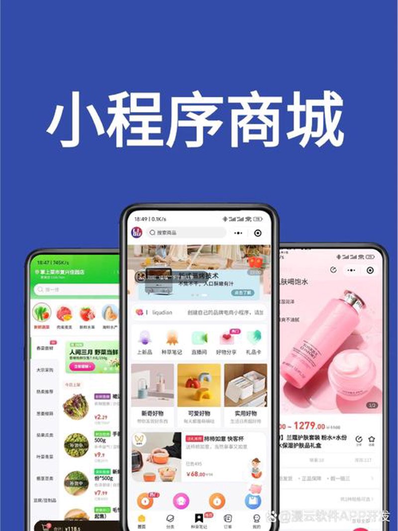 软件定制：企业成长的强大助力